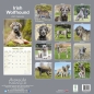 Preview: Kalender 2023 Irish Wolfhound Irischer Wolfshund