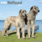 Preview: Kalender 2023 Irish Wolfhound Irischer Wolfshund