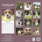 Preview: Kalender 2023 Jack Russell Terrier