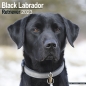 Preview: Kalender 2023 Labrador Retriever schwarz