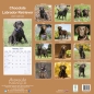 Preview: Kalender 2023 Labrador Retriever braun