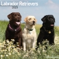 Preview: Kalender 2023 Labrador (Mix)