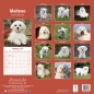 Preview: Kalender 2023 Malteser