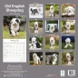 Preview: Kalender 2023 Bobtail Old English Sheepdog