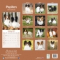 Preview: Kalender 2023 Papillon Hund