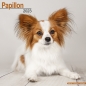 Preview: Kalender 2023 Papillon Hund