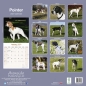 Preview: Kalender 2023 Pointer