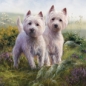 Preview: Puzzle West Highland White Terrier Highland Heather
