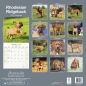 Preview: Kalender 2023 Rhodesian Ridgeback