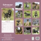 Preview: Kalender 2023 Schnauzer (Euro)