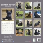 Preview: Kalender 2023 Scottish Terrier