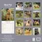 Preview: Kalender 2023 Shar Pei