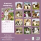 Preview: Kalender 2023 Shetland Sheepdog Sheltie