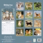 Preview: Kalender 2023 Shiba Inu