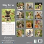 Preview: Kalender 2023 Silky Terrier