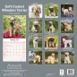 Preview: Kalender 2023 Soft Coated Wheaten Terrier