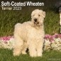 Preview: Kalender 2023 Soft Coated Wheaten Terrier
