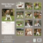 Preview: Kalender 2023 Welsh Springer Spaniel