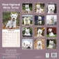 Preview: Kalender 2023 West Highland Terrier Westie