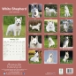 Preview: Kalender 2023 Weisser Schweizer Schäferhund