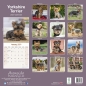 Preview: Kalender 2023 Yorkshire Terrier