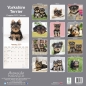 Preview: Kalender 2023 Yorkshire Terrier Welpen