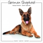 Preview: Studio Kalender 2023 Deutscher Schäferhund