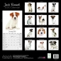 Preview: Studio Kalender 2023 Jack Russell Terrier