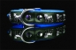 Preview: Motiv Halsband Mops Pug 3cm breit Lederhalsband