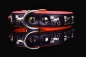 Preview: Motiv Halsband Mops Pug 3cm breit Lederhalsband