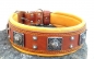 Preview: Eros braun Molosser Halsband 6,5cm breit Fila Rottweiler Dogge Bulldog