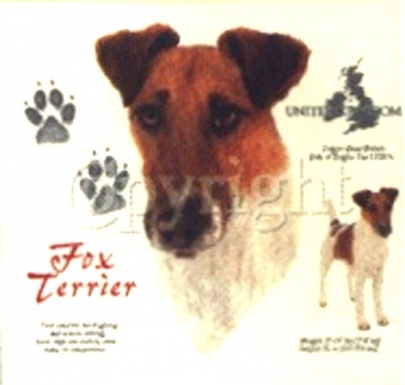 Motiv Fox Terrier