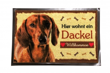 Fussmatte Kurzhaar Dackel Dachshund