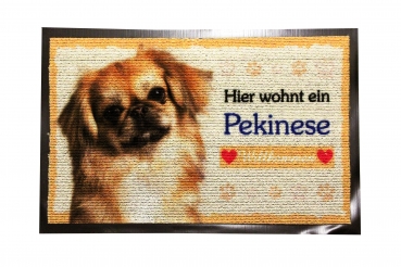 Fussmatte Pekinese Fussabtreter