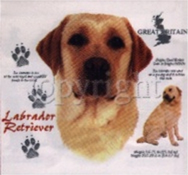 Motiv Labrador Retriever blond 4