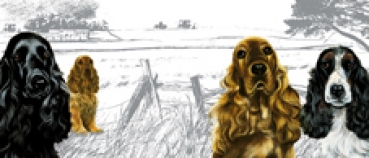 Tasse Motiv Cocker Spaniel