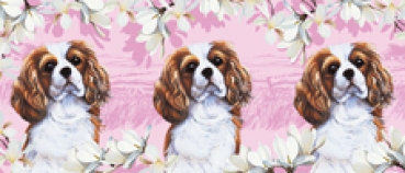 Tasse Motiv Cavalier King Charles Spaniel Springtime