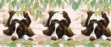 Tasse Motiv English Springer Spaniel Springtime