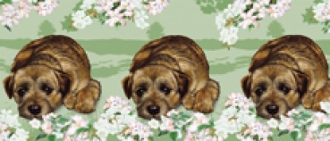 Tasse Motiv Border Terrier Springtime