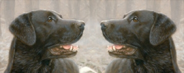 Tasse Motiv Labrador schwarz Faithful Companion