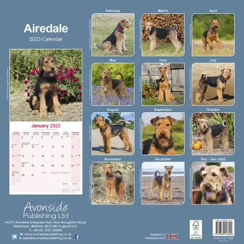 Kalender 2023 Airedale Terrier