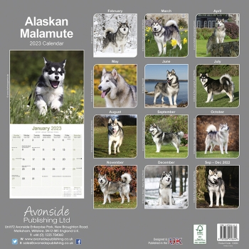 Kalender 2023 Alaska Malamute