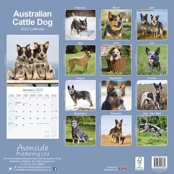 Kalender 2023 Australian Cattle Dog