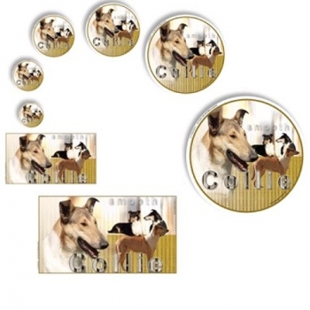 Aufkleber Collie 2 Kurzhaar
