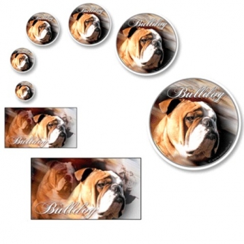 Aufkleber Englische Bulldogge 1