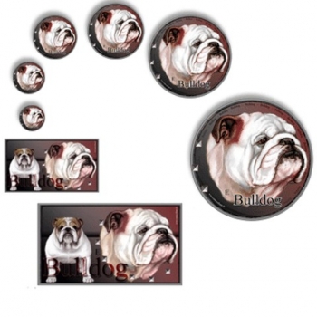 Aufkleber Englische Bulldogge 3