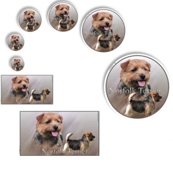 Aufkleber Norfolk Terrier 2