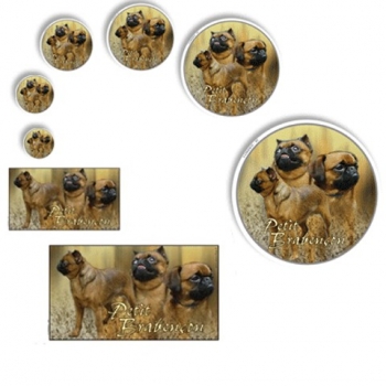 Aufkleber Petit Brabangon / Brüsseler Griffon