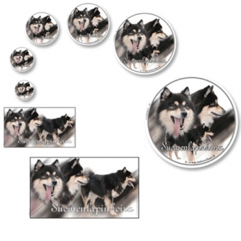 Aufkleber Suomenlapinkoira 1 Finnischer Lapphund