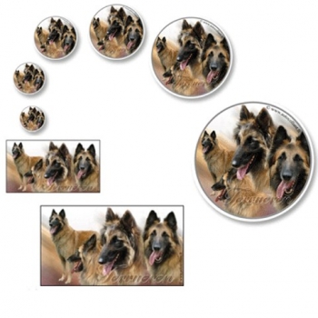 Aufkleber Tervueren 2 Belgischer Schäferhund langhaar